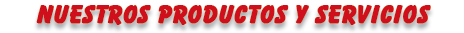 Nuestros Productos y Servicios
